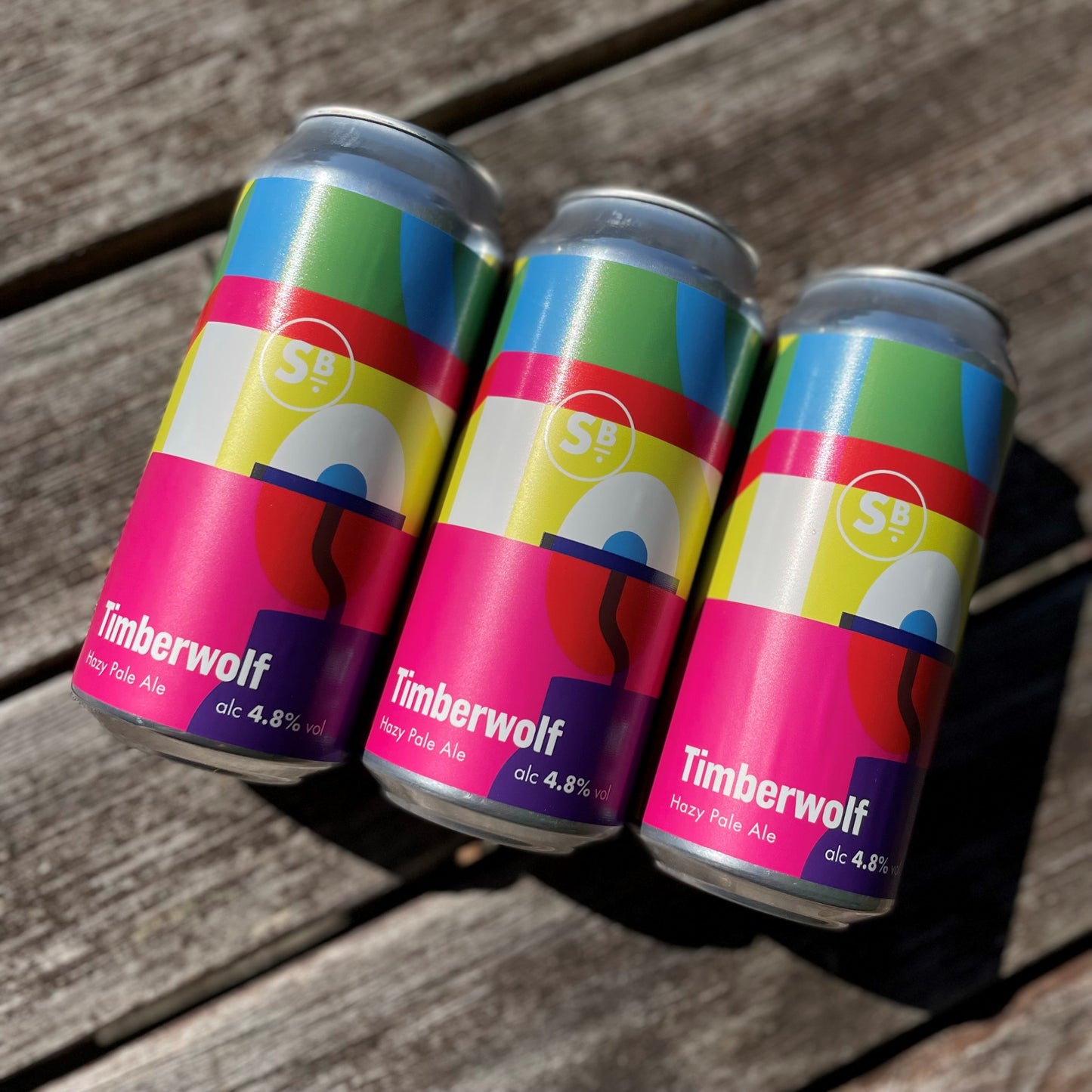 Unveiling Abby Sumner's Artistry on Our New Beer Cans