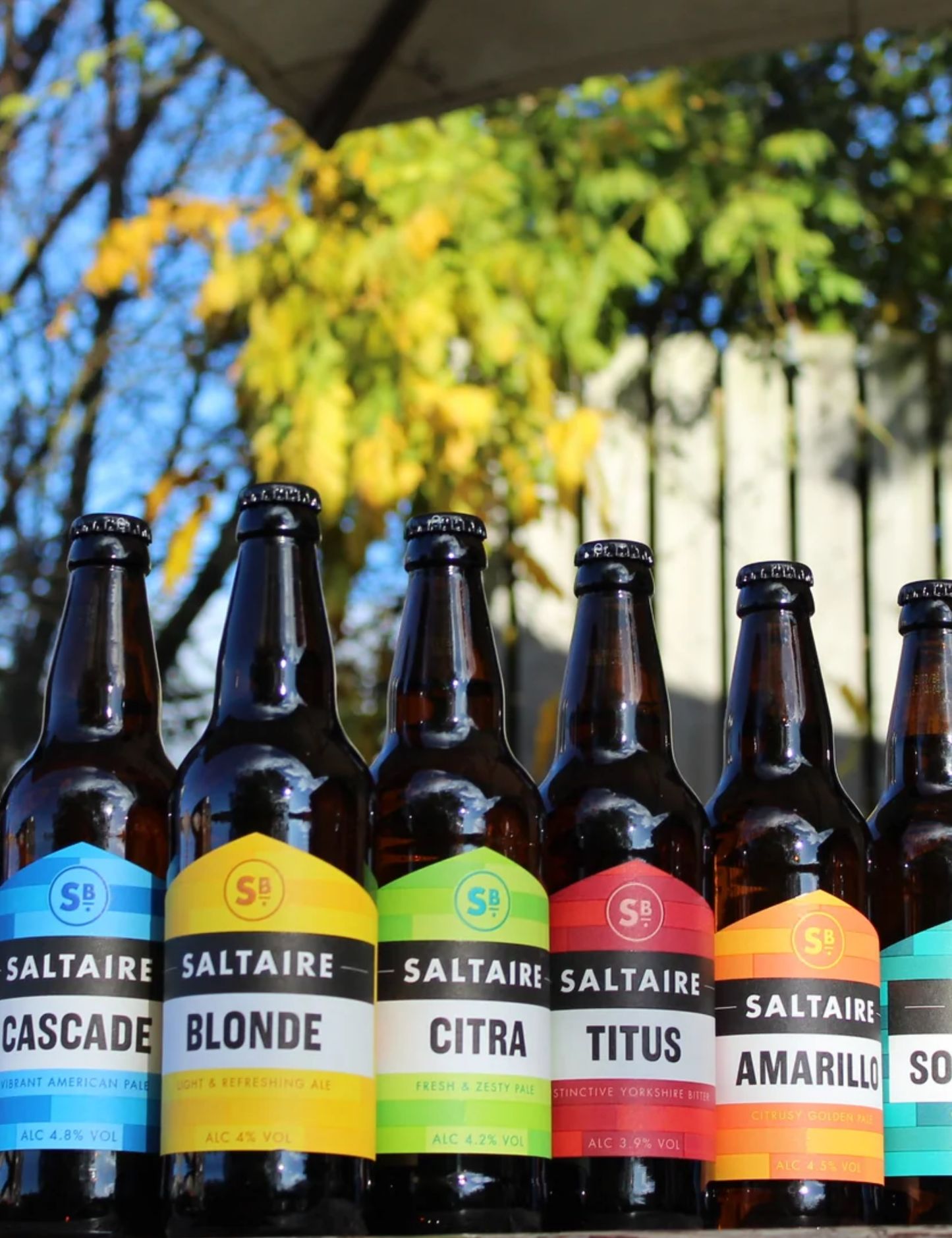 Pale Mixed Case | Saltaire Brewery
